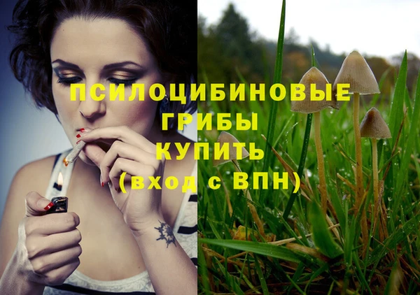 MDMA Premium VHQ Кинешма